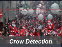 CrowDetection